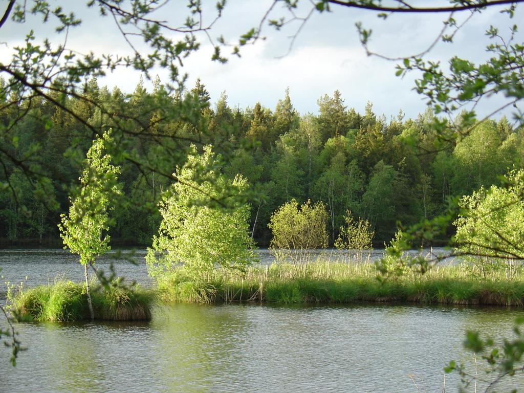 Landhotel Alte Muhle Ostrach Kültér fotó