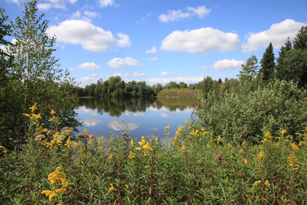 Landhotel Alte Muhle Ostrach Kültér fotó