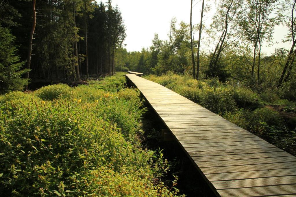 Landhotel Alte Muhle Ostrach Kültér fotó