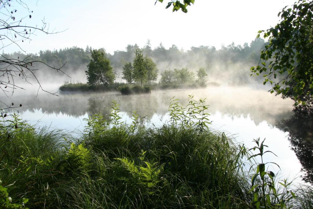 Landhotel Alte Muhle Ostrach Kültér fotó